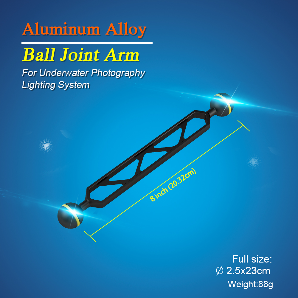 Essential Diving Photography E - Photography Lighting Essentials ulasan dan harga